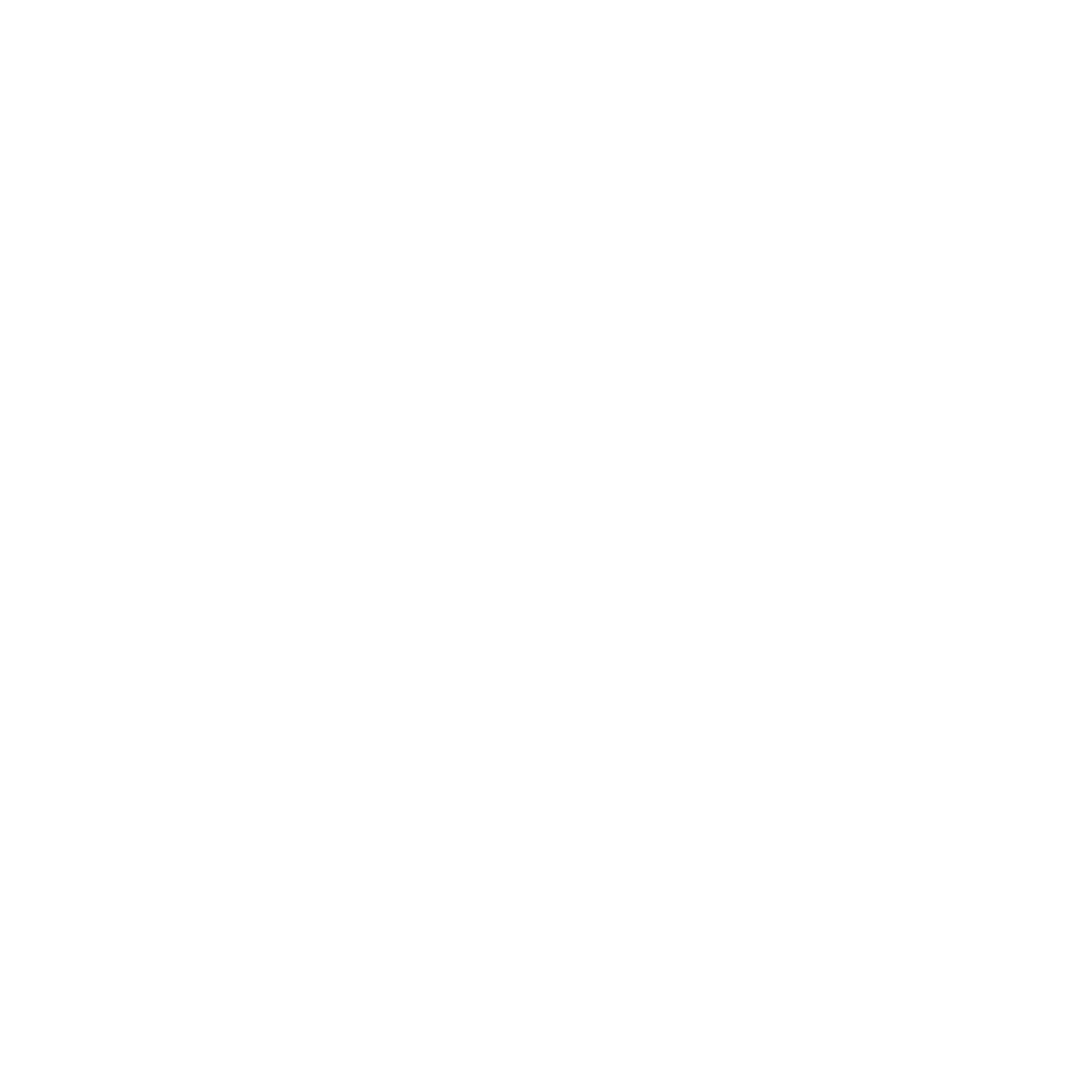 TopAuthent Dorothee Schank Saarbruecken Saarland Deutschland Consulting das Authentische Unternehmen